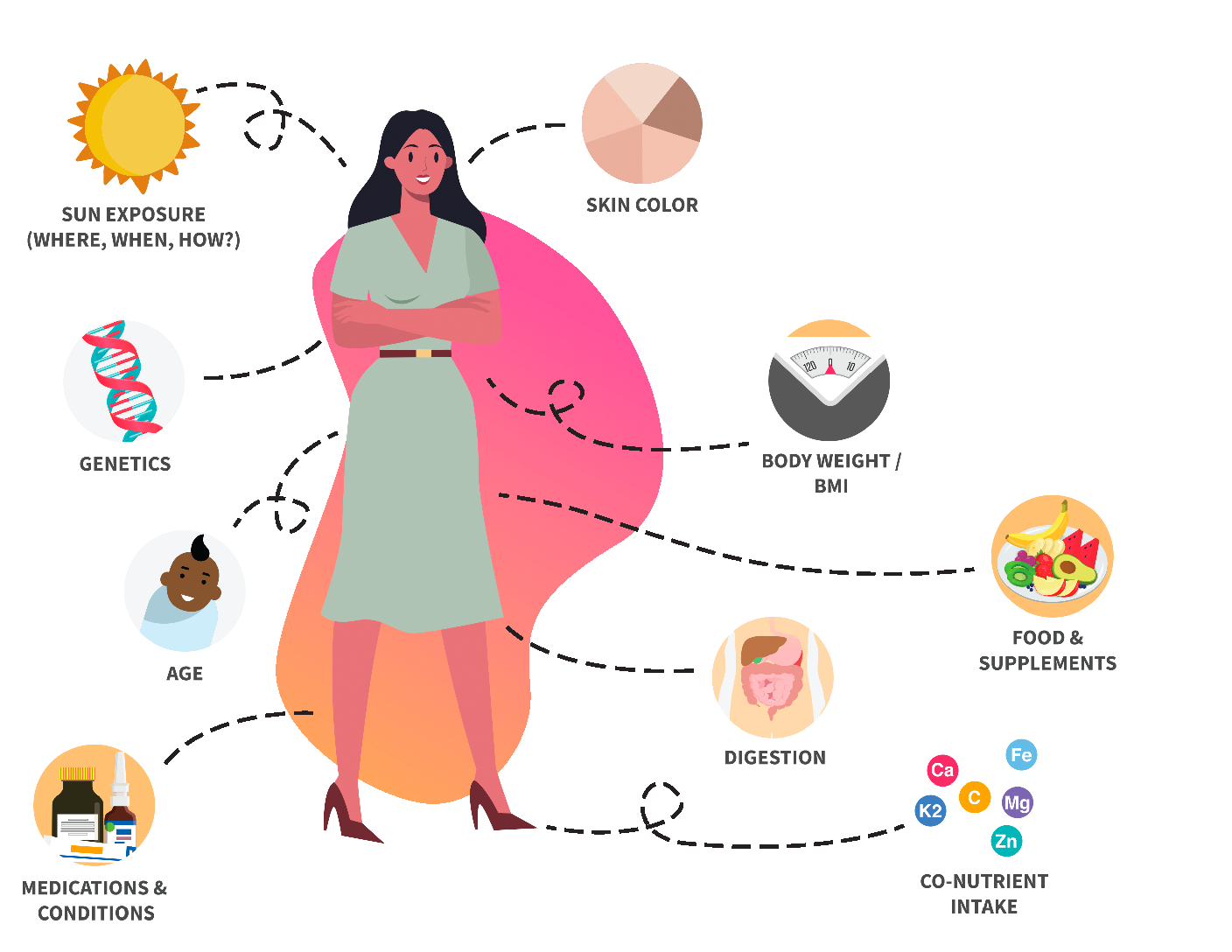 Factors for Vitamin D Intake